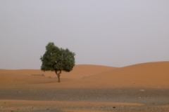 DSCN1825