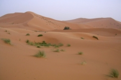 DSCN1832